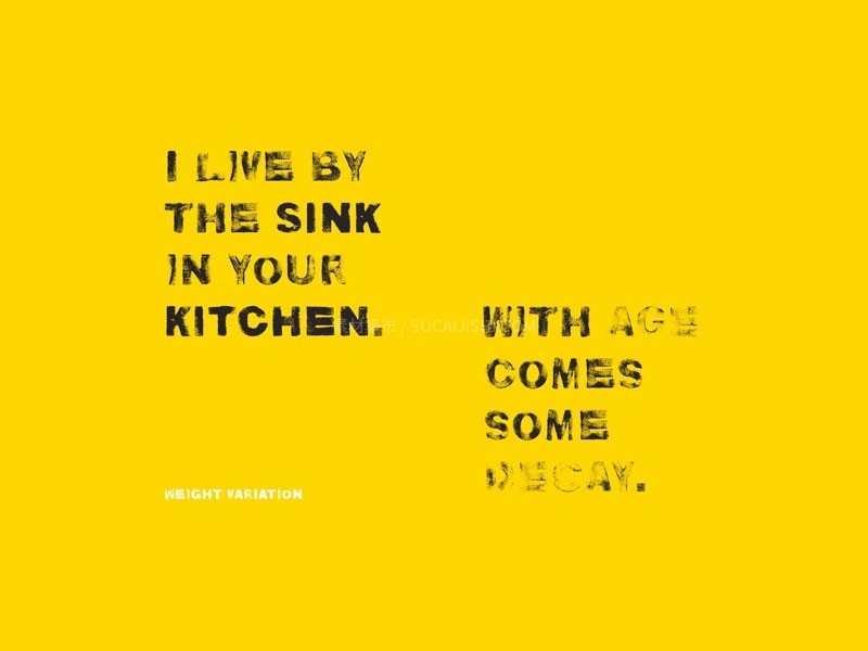 Kitchen Sink ֹӢ